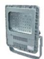 CZ0878/221B、CZ0878/221F 防爆 LED 泛光灯(宽光型、窄光型、路灯型)